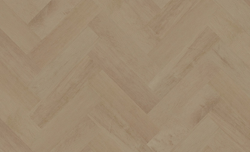 Hard Maple Ivoor